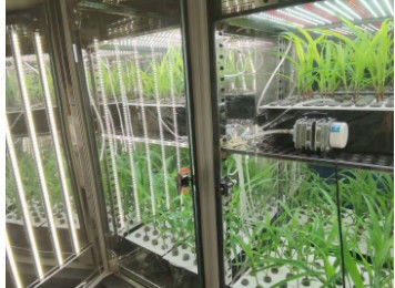LIYI Câmara de Crescimento de Plantas Clima Artificial Máquina de Germinação de Sementes Câmaras de Clima Ambiental