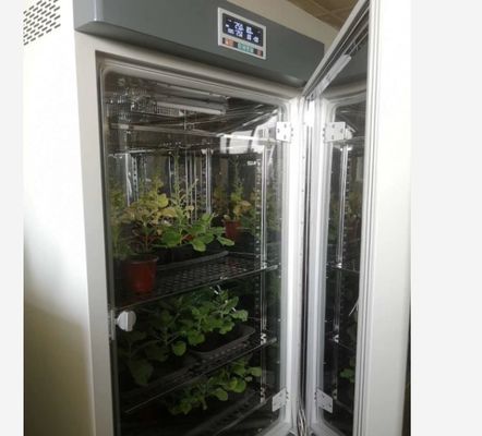 Incubadora artificial da caixa do crescimento vegetal da máquina da germinação da semente do clima da câmara de crescimento vegetal de LIYI