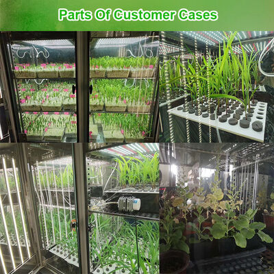 Liyi Digital Display Câmara Artificial de Crescimento de Plantas Caixa Incubadora Climática Inteligente para Germinação de Sementes